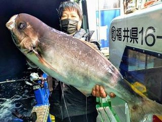 イサキ