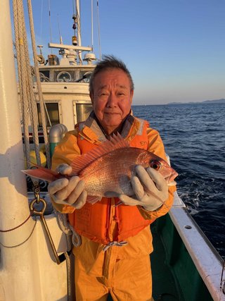 マダイ
