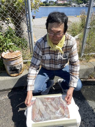 マルイカ