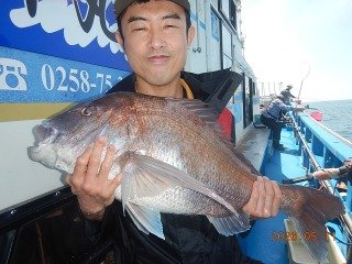 マダイ