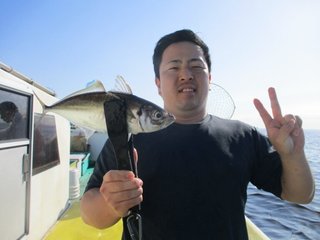 アジ