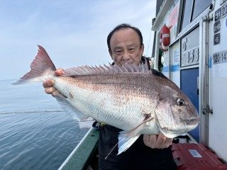 マダイ