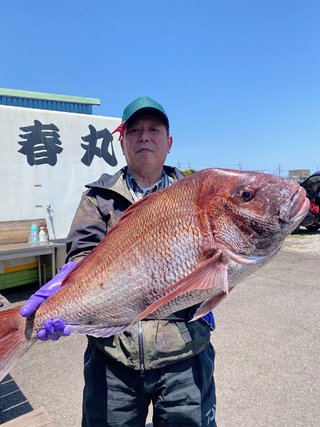 マダイ