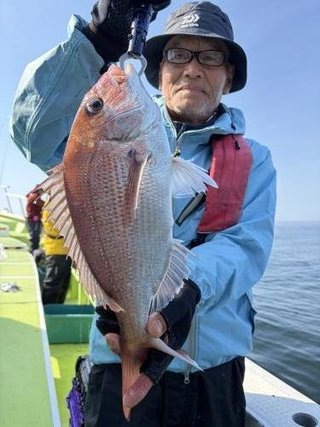 マダイ