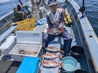 マダイ