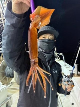 ムギイカ