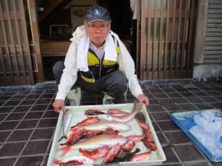 イトヨリ