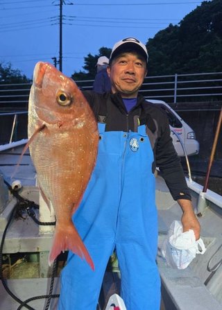 マダイ
