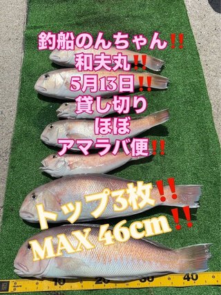 シロアマダイ
