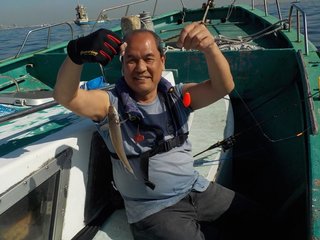 シロギス