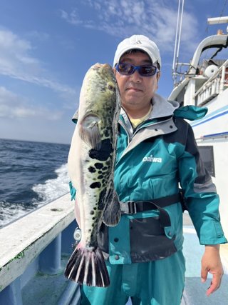 ショウサイフグ