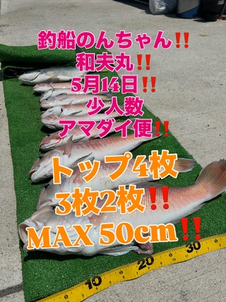 シロアマダイ