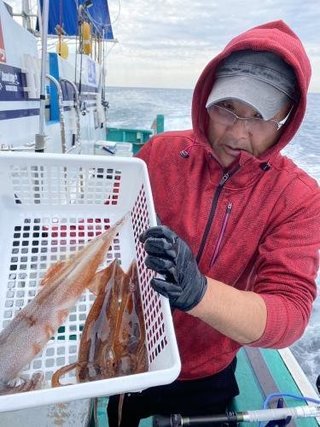ヤリイカ