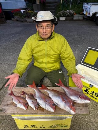 マダイ