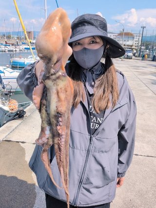 タコ