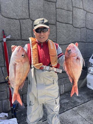 マダイ