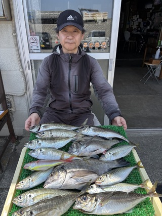 アジ