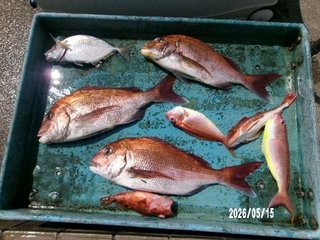 タイ