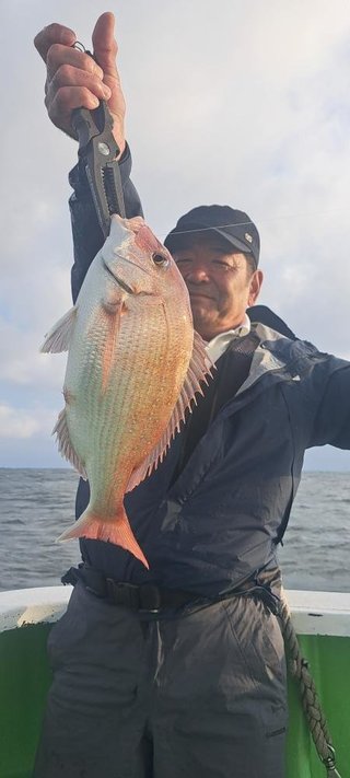 マダイ