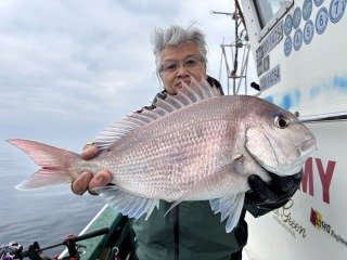 マダイ