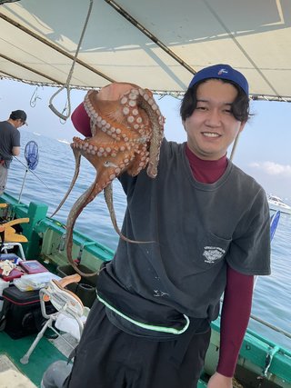 マダコ