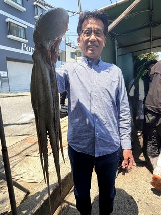 マダコ