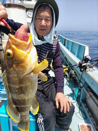 アオハタ