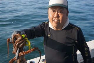 タコ