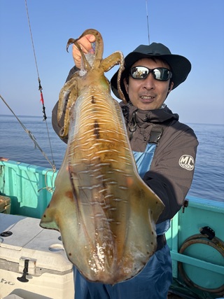 アオリイカ