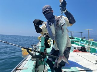 メダイ