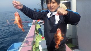ウッカリカサゴ