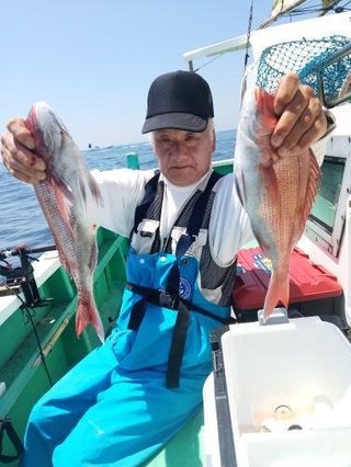 マダイ
