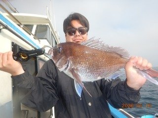 マダイ
