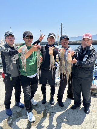 マダコ