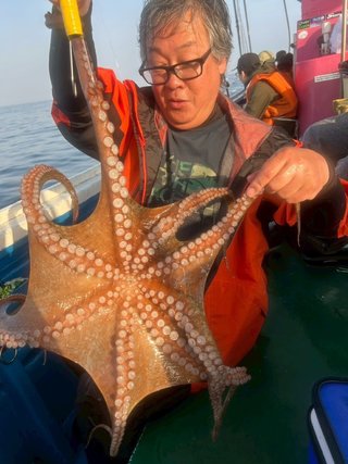 タコ