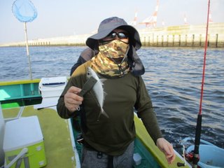 アジ
