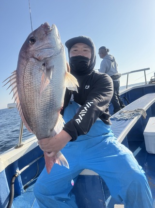マダイ