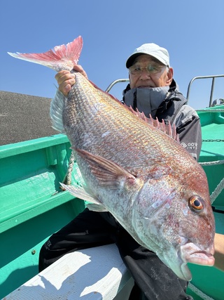 マダイ