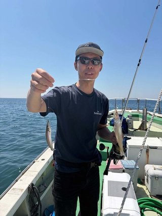シロギス
