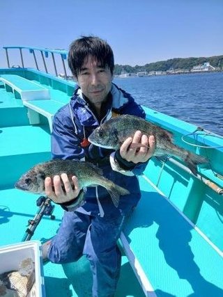 クロダイ