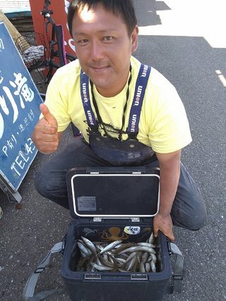 シロギス