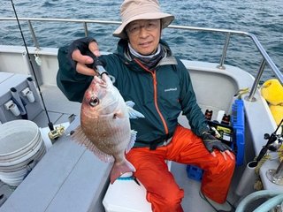 マダイ