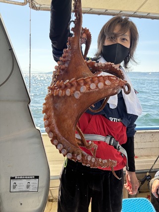 タコ