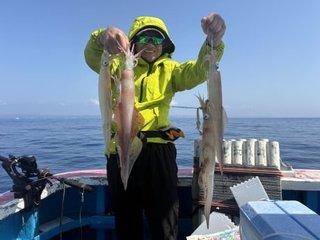 ヤリイカ