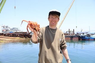 タコ