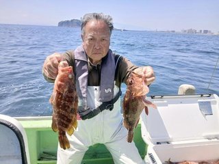 カサゴ
