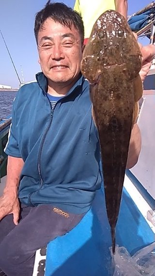 マゴチ