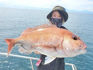 マダイ
