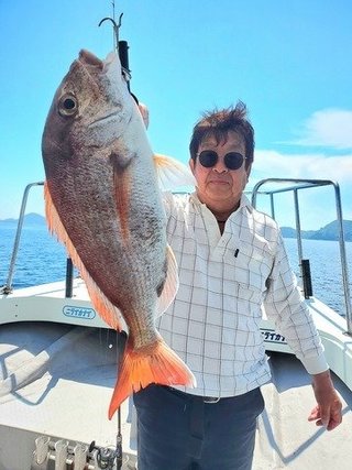 マダイ