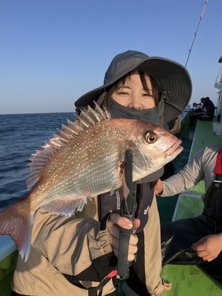 マダイ